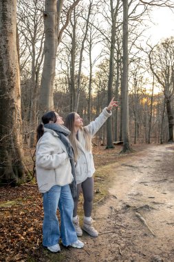 Ormanda iki kadın. Manzarayı gösteren bir kadın. Doğadaki insanlar. Yüksek kalite fotoğraf. Ormanda bir yürüyüş, doğada. İlkbahar, sonbahar mevsimi. Boşluğu kopyala.