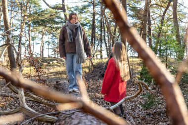 Ormanda yürüyen iki kadın. Orman. Doğa. Açık hava eğlencesi. Yüksek kalite fotoğraf. Soğuk hava. Doğa gezisi. Düşen ağaç gövdesinden geçen bir kadın..
