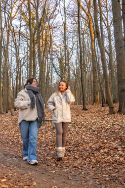 Ormanda yürüyüş yapan iki bayan arkadaş. Ormanda yürüyen arkadaşlar. Doğadaki insanlar. Yüksek kalite fotoğraf. Ormanda bir yürüyüş. Doğada rahatlama.