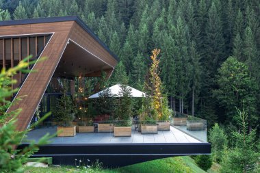 Yoğun bir çam ormanının ortasında yer alan ağaçlar, çiçekler ve ışıklarla dekore edilmiş modern bir evin yeşil terası. Sıcak ve uyumlu açık hava atmosferi.