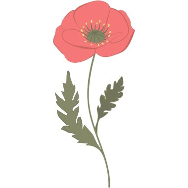 Yeşil yapraklı ve tomurcuklu kırmızı gelincik çiçeklerinin vektör çizimi. Düz, minimalist bir tarzda yaratılmış. Paketleme, tekstil tasarımı, davetiyeler, tebrik kartları ve web projelerinde kullanım için idealdir. Kalite kaybı olmadan tamamen düzenlenebilir ve ölçeklenebilir.. 