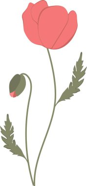 Yeşil yapraklı ve tomurcuklu kırmızı gelincik çiçeklerinin vektör çizimi. Düz, minimalist bir tarzda yaratılmış. Paketleme, tekstil tasarımı, davetiyeler, tebrik kartları ve web projelerinde kullanım için idealdir. Kalite kaybı olmadan tamamen düzenlenebilir ve ölçeklenebilir.. 