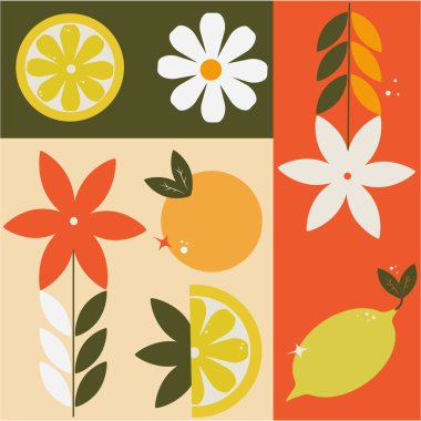 Çiçek elementleri seti