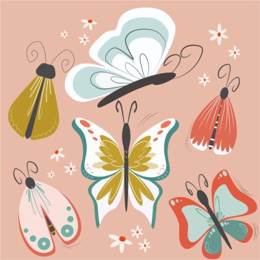 Kelebek ve kelebek koleksiyonu. vektör kümesi.
