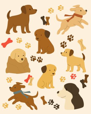 set of different cute dogs