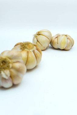 Beyaz arkaplanda taze sarımsak ya da Allium sativum izole edilmiş..