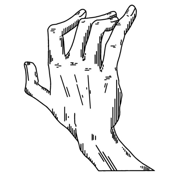 рука с пальцами. векторная гравировка. изолированные на белом фоне.