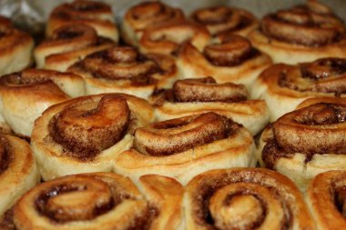 Fırında yeni pişmiş tarçın ruloları.