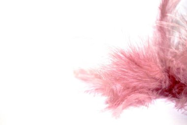 Bahçe tüyünde pembe çiçek