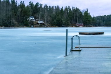 İnce buzla kaplı sakin bir göl. Huzurlu bir orman tarafından kuşatılmış..
