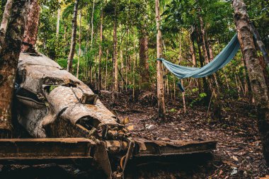 Tropik bir ormanın yemyeşil yeşilliğinin ortasında sakin bir hamak bekliyor..