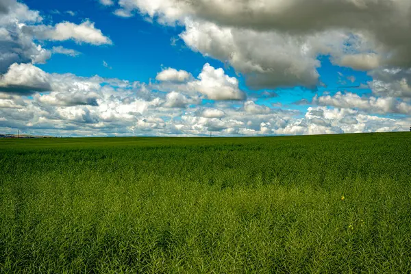 Lush green crop fields stretch to the horizon under a dramatic cloud-filled sky.