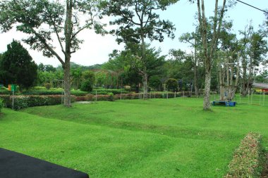 Modern Kaydırak, Halat Ağı Köprüsü, Tırmanma Salıncağı, Tırmanışçılar. Boş Tahta Oyun Alanı, çevre dostu malzemelerden yapılmıştır ve gündüzleri çok güzel görünür.