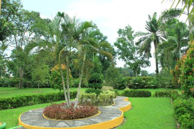 Güzel bir bahçede yeşil ağaçlar ve güzel bir öğleden sonra oynamak için güzel bir yer.