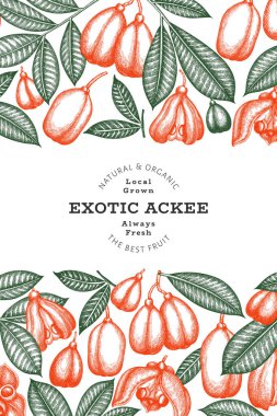 El çizimi eskiz stili ackee afişi. Organik taze gıda vektör çizimi. Retro egzotik meyve tasarım şablonu. İşlenmiş biçim botanik arkaplanı.
