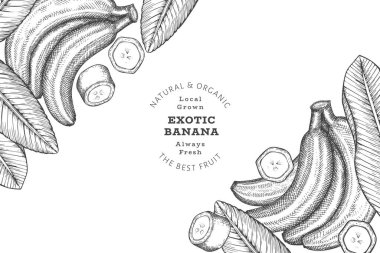 Elle çizilmiş muz pankartı. Organik taze meyve vektörü çizimi. Retro egzotik meyve tasarım şablonu