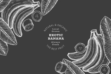 Elle çizilmiş muz pankartı. Tebeşir tahtasında organik taze meyve vektör çizimi. Retro egzotik meyve tasarım şablonu