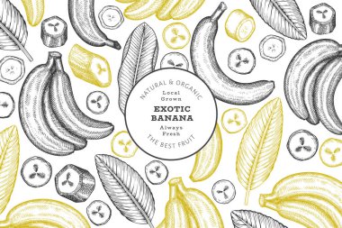 Elle çizilmiş muz pankartı. Organik taze meyve vektörü çizimi. Retro egzotik meyve tasarım şablonu