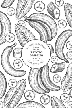 Elle çizilmiş muz pankartı. Organik taze meyve vektörü çizimi. Retro egzotik meyve tasarım şablonu