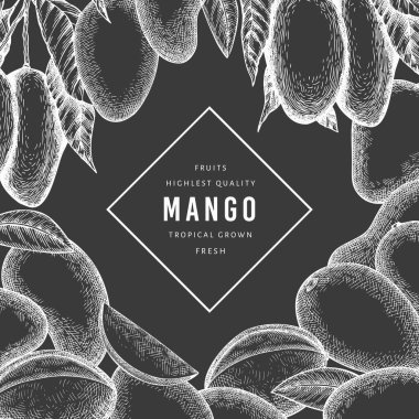 El çizimi mango afişi. Tebeşir tahtasında organik taze meyve vektör çizimi. Retro mango meyve tasarım şablonu