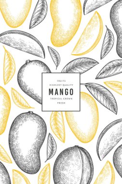 El çizimi mango afişi. Organik taze meyve vektörü çizimi. Retro mango meyve tasarım şablonu