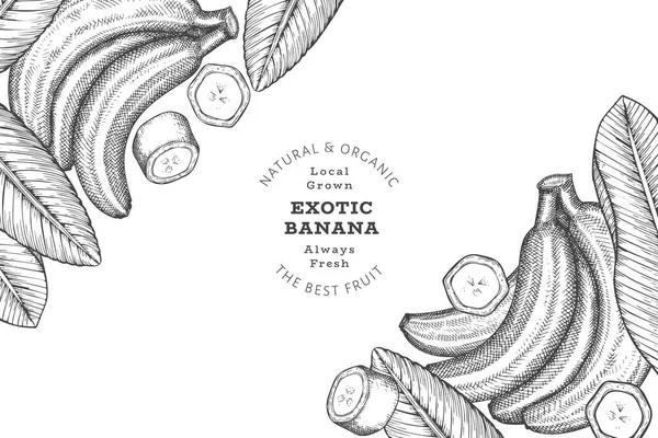 Elle çizilmiş muz pankartı. Organik taze meyve vektörü çizimi. Retro egzotik meyve tasarım şablonu