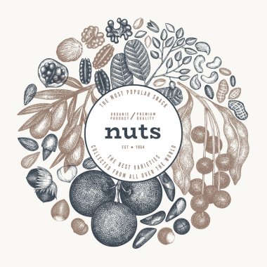 El yapımı fındık şubesi ve çekirdek şablonu. Organik Tohum Vektörü Tasarımı. Retro Nut Illustration. İşlenmiş Biçim Botanik Sancak.