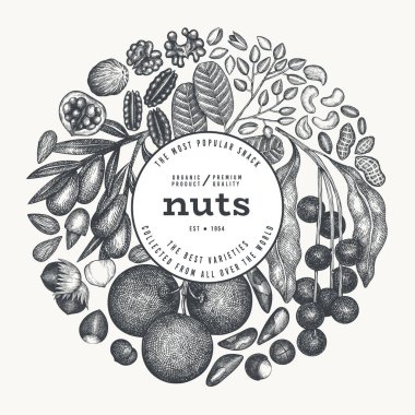 El yapımı fındık şubesi ve çekirdek şablonu. Organik Tohum Vektörü Tasarımı. Retro Nut Illustration. İşlenmiş Biçim Botanik Sancak.