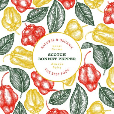 Elle çizilmiş taslak stili İskoç şapkası biber afişi. Organik taze sebze vektör çizimi. Retro cayenne biber tasarım şablonu