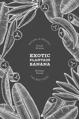 Elle çizilmiş taslak tarzı muz afişi. Tebeşir tahtasında organik taze meyve vektör çizimi. Retro egzotik muz meyve tasarım şablonu