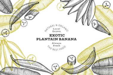 El çizimi geniş fasulye tasarım şablonu. Tebeşir tahtasında organik taze gıda vektör çizimi. Retro podlar çizimi. Botanik tarzı mısır gevreği arkaplanı.