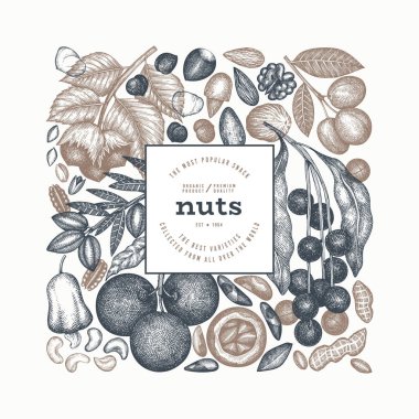 El yapımı fındık şubesi ve çekirdek şablonu. Organik Tohum Vektörü Tasarımı. Retro Nut Illustration. İşlenmiş Biçim Botanik Sancak.
