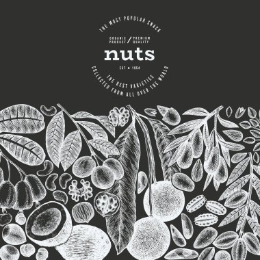 Hand Drawn Nuts Branch And Kernels  Template. Organic Seed Vector Design. Retro Chalk Board Nut Illustration. clipart