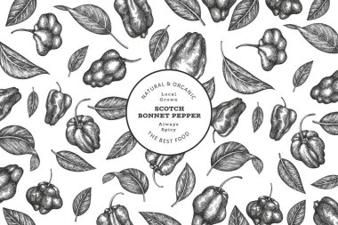 Elle çizilmiş taslak stili İskoç şapkası biber afişi. Organik taze sebze vektör çizimi. Retro cayenne biber tasarım şablonu
