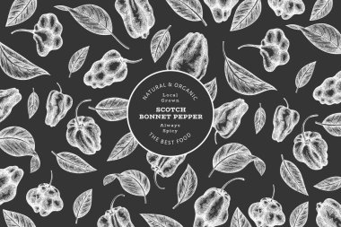 Elle çizilmiş taslak stili İskoç şapkası biber afişi. Tebeşir tahtasında organik taze sebze çizimi. Retro cayenne biber tasarım şablonu