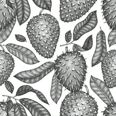 Hand drawn sketch style soursop fruit seamless pattern. Organic fresh fruit vector illustration. Retro guanabana background clipart