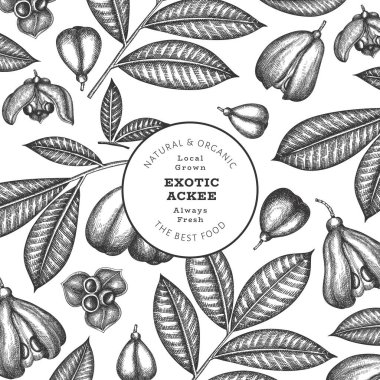 Hand drawn sketch style ackee banner. Organic fresh food vector illustration. Retro exotic fruit design template. Engraved style botanical background. clipart