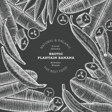 Elle çizilmiş taslak tarzı muz afişi. Tebeşir tahtasında organik taze meyve vektör çizimi. Retro egzotik muz meyve tasarım şablonu
