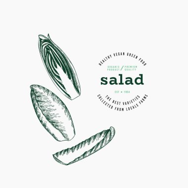Vintage Style Chicory Illustration. Yeşil Sebze Çizimi. Vector Hand çizilmiş salata. Klasik Style Gerden Cress Illustration. Yeşil Sebze Çizimi. Vektör El Çizilmiş Salata. 
