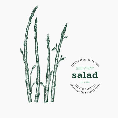 Vintage Style Asparagus Illustration. Yeşil Sebze Çizimi. Vector Hand çizilmiş salata. Klasik Style Gerden Cress Illustration. Yeşil Sebze Çizimi. Vektör El Çizilmiş Salata. 
