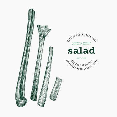Vintage Style Rhubarb Illustration. Yeşil Sebze Çizimi. Vector Hand çizilmiş salata. Klasik Style Gerden Cress Illustration. Yeşil Sebze Çizimi. Vektör El Çizilmiş Salata. 