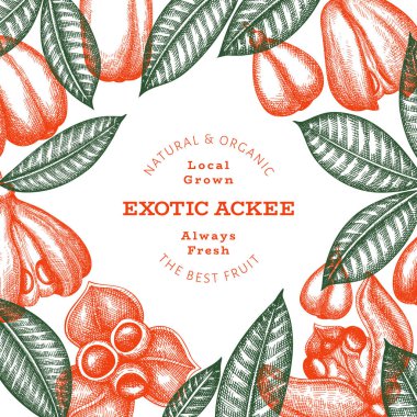 El çizimi eskiz stili ackee afişi. Organik taze gıda vektör çizimi. Retro egzotik meyve tasarım şablonu. İşlenmiş biçim botanik arkaplanı.