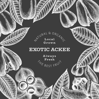 El çizimi eskiz stili ackee afişi. Tebeşir tahtasında organik taze gıda vektör çizimi. Retro egzotik meyve tasarım şablonu. İşlenmiş biçim botanik arkaplanı.
