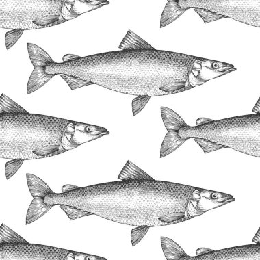 Klasik Şalgam Balığı Şablonu. Vector Hand Çekilmiş Balık Arkaplanı. Yüksek Kaliteli Eski Moda Resimleri