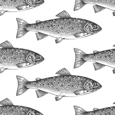Klasik stil alabalık desensiz. Vector Hand Çekilmiş Balık Arkaplanı. Yüksek Kaliteli Eski Moda Resimleri