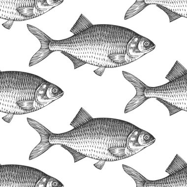 Vintage Style Bream Kusursuz Desen. Vector Hand Çekilmiş Balık Arkaplanı. Yüksek Kaliteli Eski Moda Resimleri
