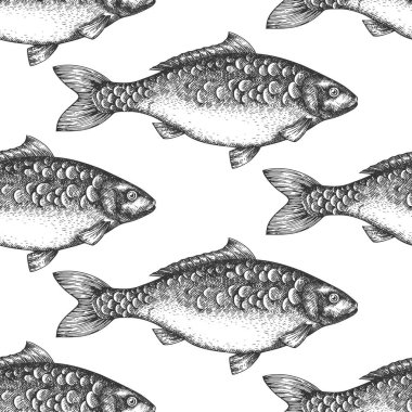 Klasik stil sazan desensiz. Vector Hand Çekilmiş Balık Arkaplanı. Yüksek Kaliteli Eski Moda Resimleri