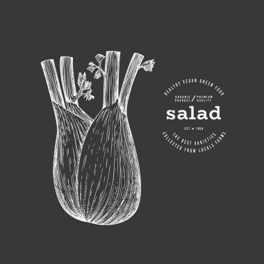Vintage Style Chalk Board Fennel Illustration. Yeşil Sebze Çizimi. Vektör El Çizilmiş Salata. 