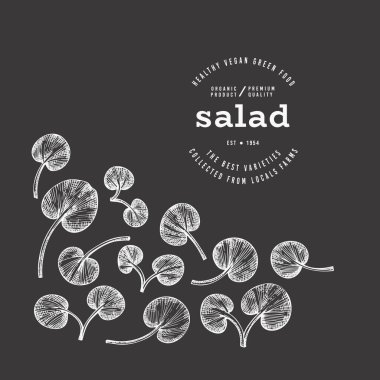 Klasik stil tebeşir tahtası Watercress Illustration. Yeşil Sebze Çizimi. Vektör El Çizilmiş Salata. 