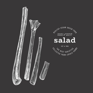 Vintage Style Chalk Board Rhubarb Illustration. Yeşil Sebze Çizimi. Vektör El Çizilmiş Salata. 